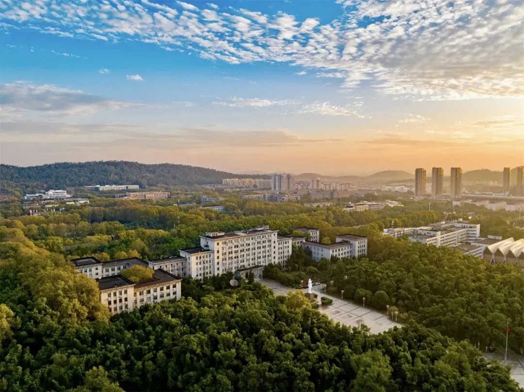 歌里的时光与懂得