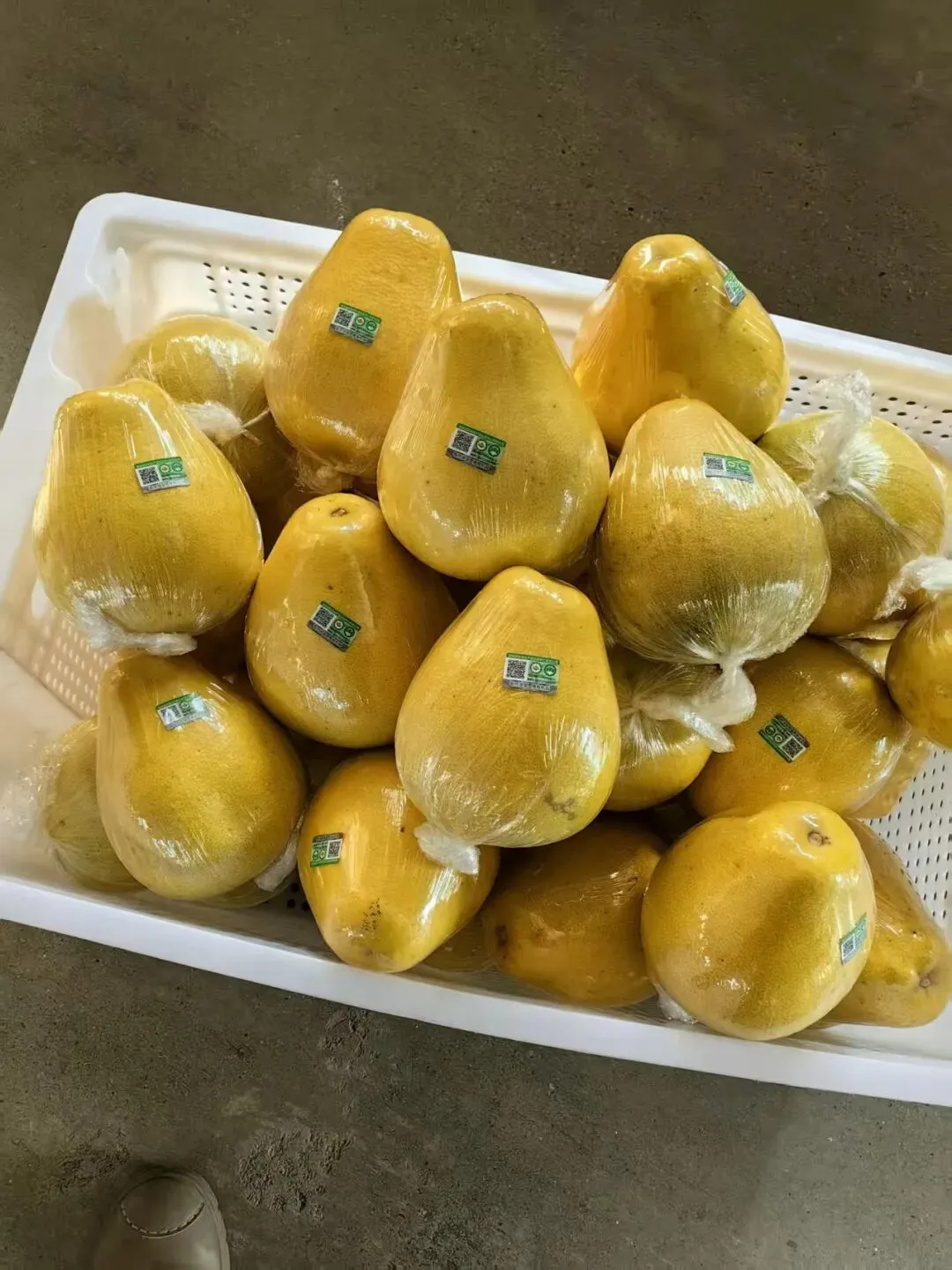 《水调歌头·鼎盛金兰柚》