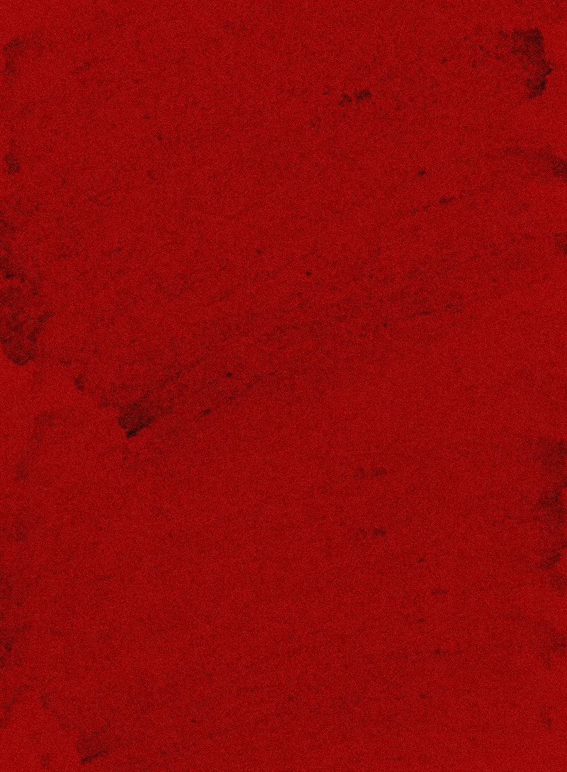 丙午新序,策马长歌 | 福利三小给您拜年啦!