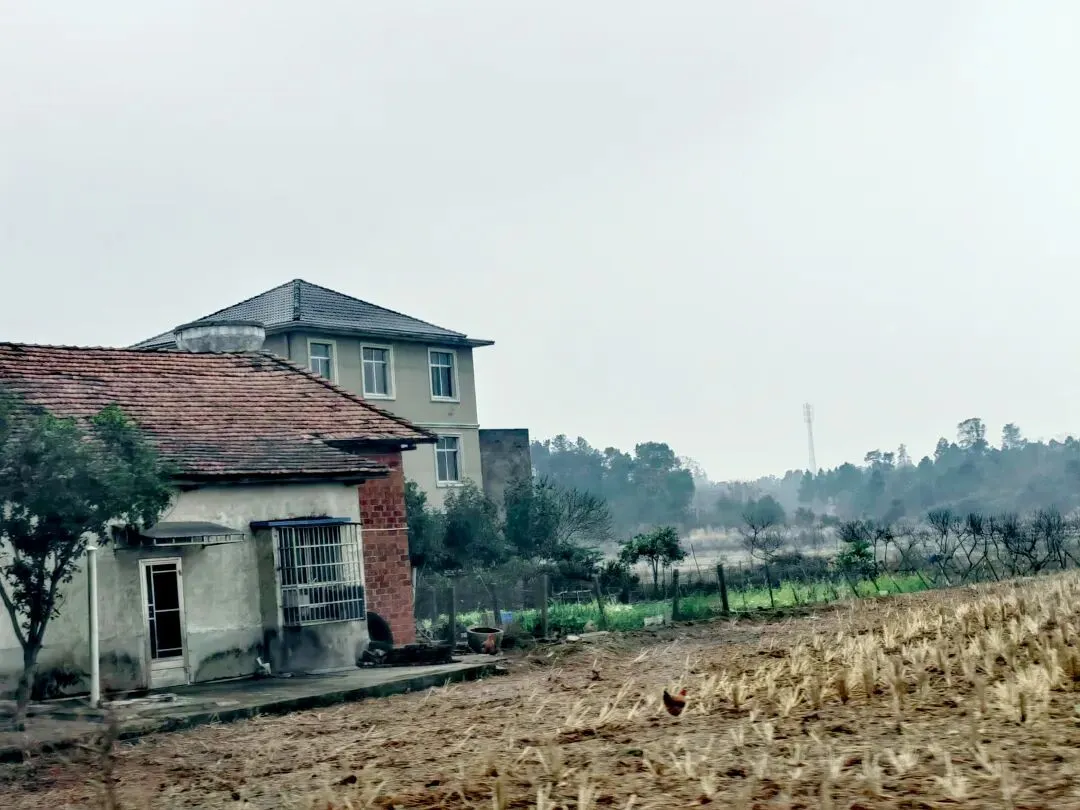 春节,用我最喜欢的26年春晚三首歌曲,来写我无比想念的心中的故乡