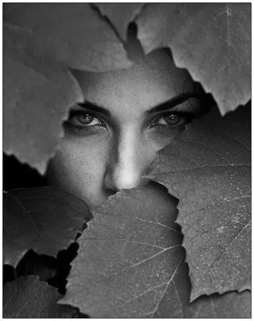 冰与火之歌||第三卷·冰雨的风暴||61.珊莎