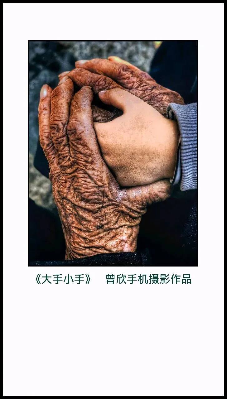 浠水文艺 | 掌心温度里的亲情长歌——评浠水曾欣原创歌曲《大手小手》