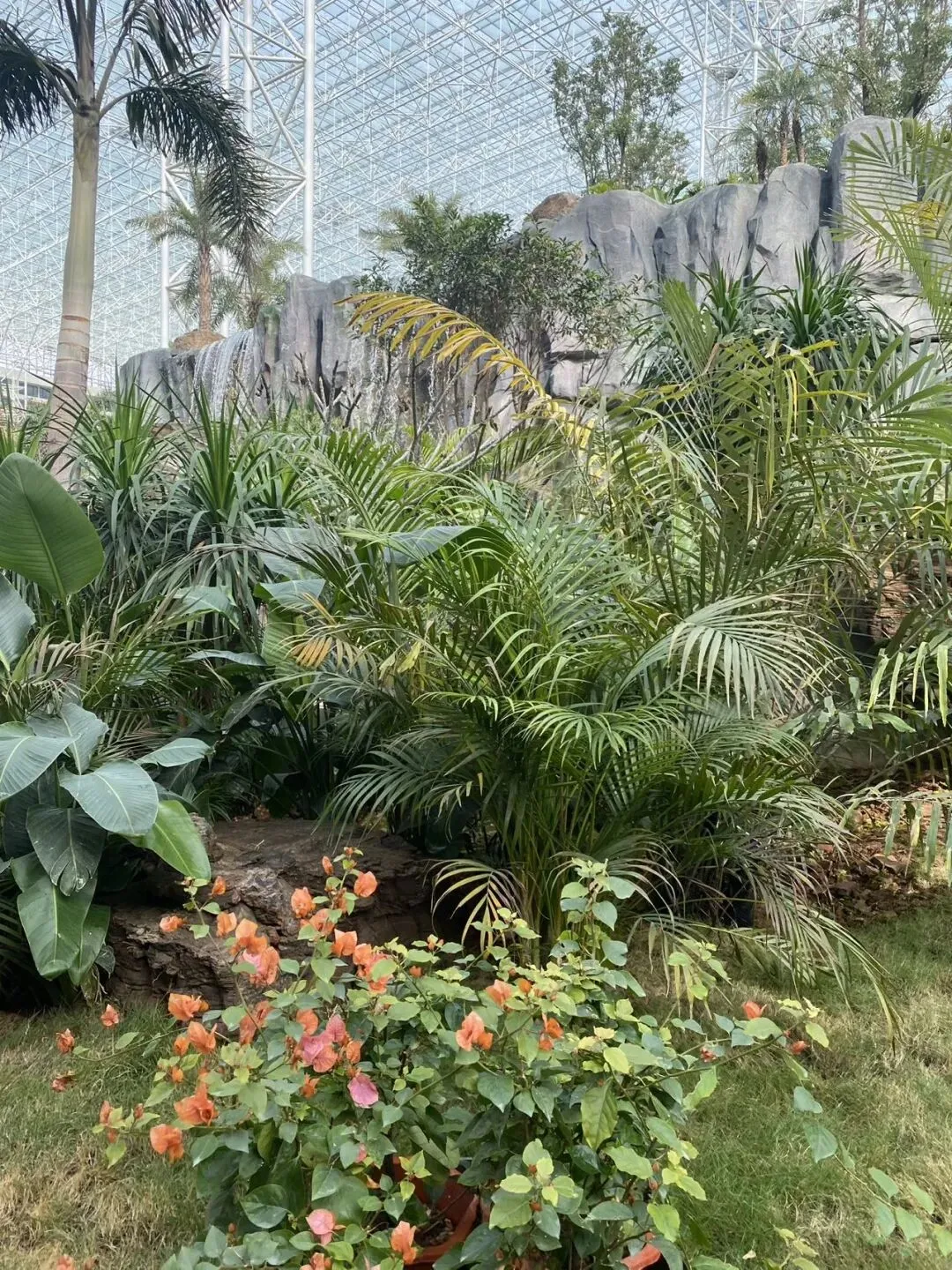 打油诗《人生十伴歌》