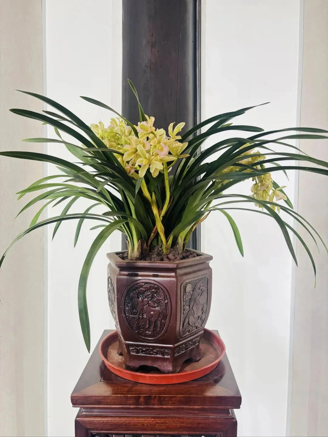 李健:清醒的歌者,静水深流的音乐诗人