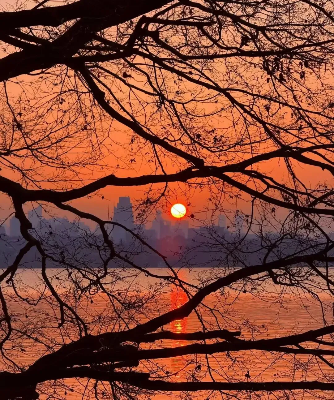 睡前随笔|初五就这首歌了