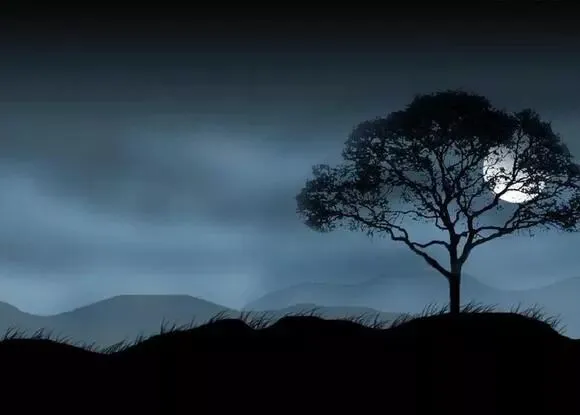 每个人心中都有一首早已不再流行的老歌