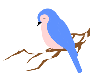 散文诗┃岁月如歌