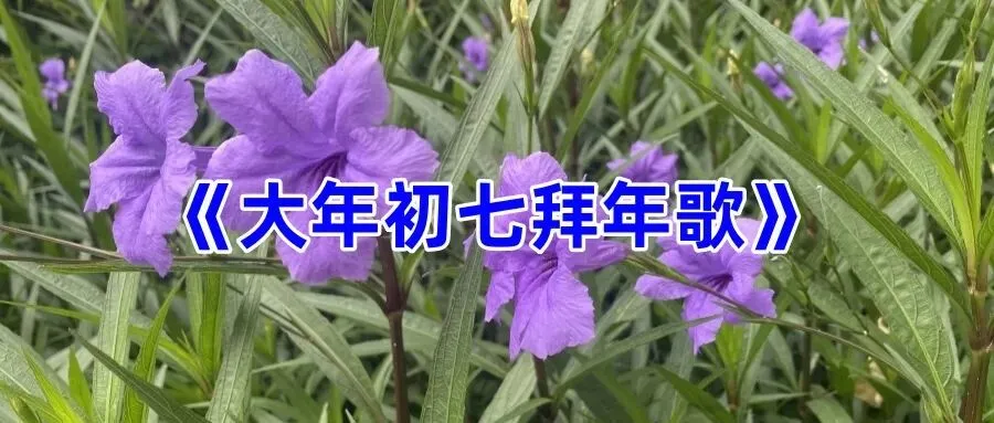 《大年初七拜年歌》