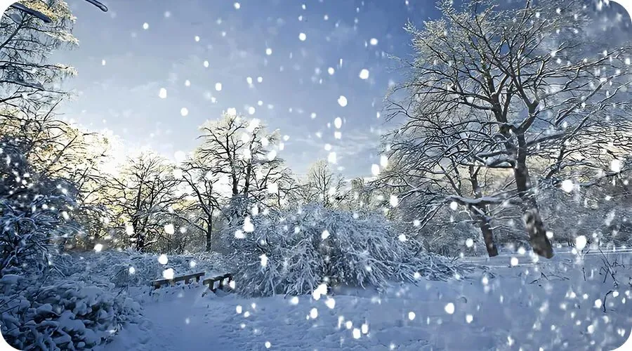 童声歌曲《雪花》