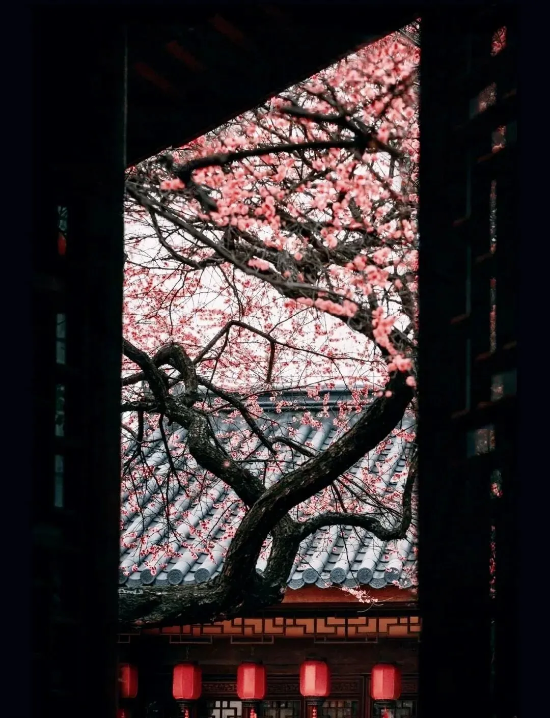 菱歌一曲泪沾衣——郑方坤与《青衫词》