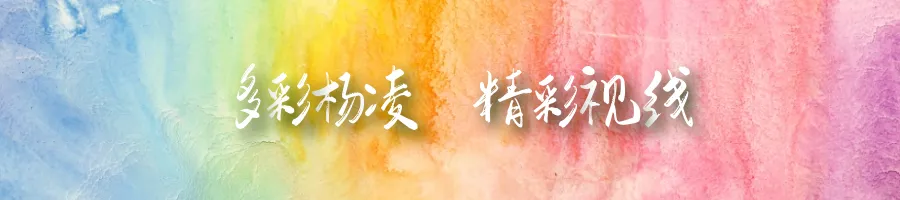 村歌村戏村民唱!杨凌这场精彩演出别错过