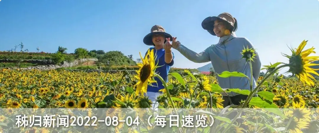 “花果同枝”出歌啦