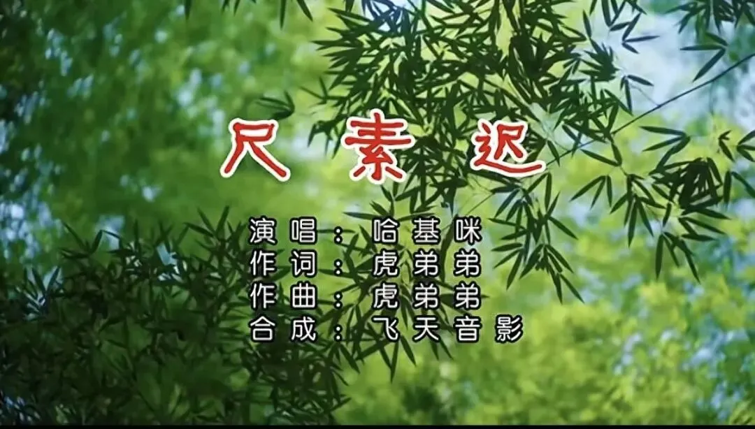 《尺素迟》这首歌写的是什么?