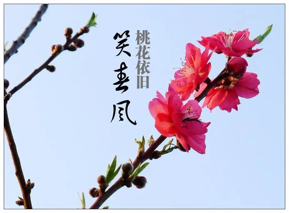 大年初十,人生十笑歌