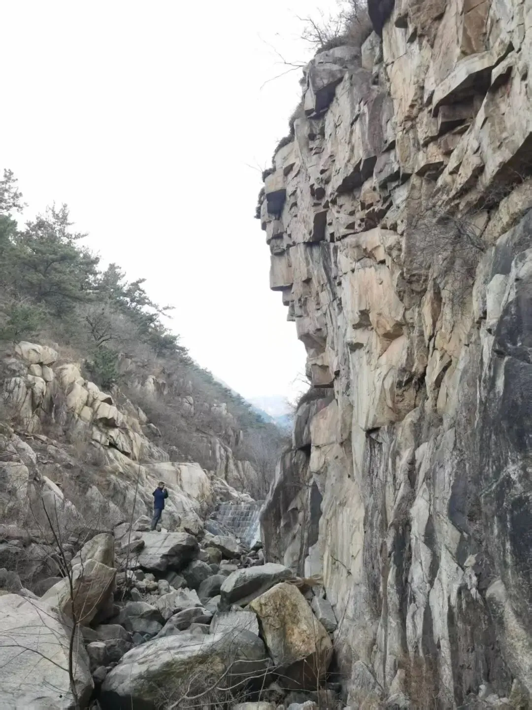 当风长歌:何须处处觅菩提,一峰一壑皆初地