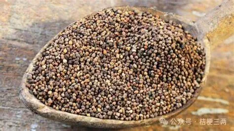 跟着药性歌括认中药_菟丝子