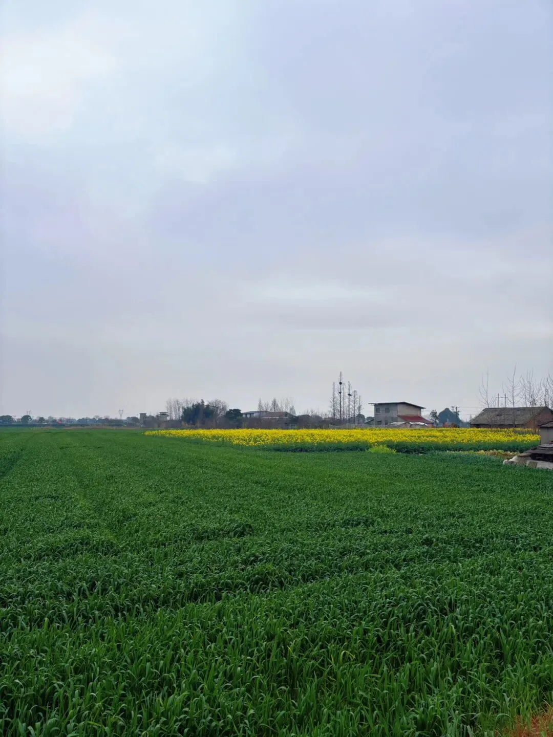 一首老歌,让80后和10后意外同频了