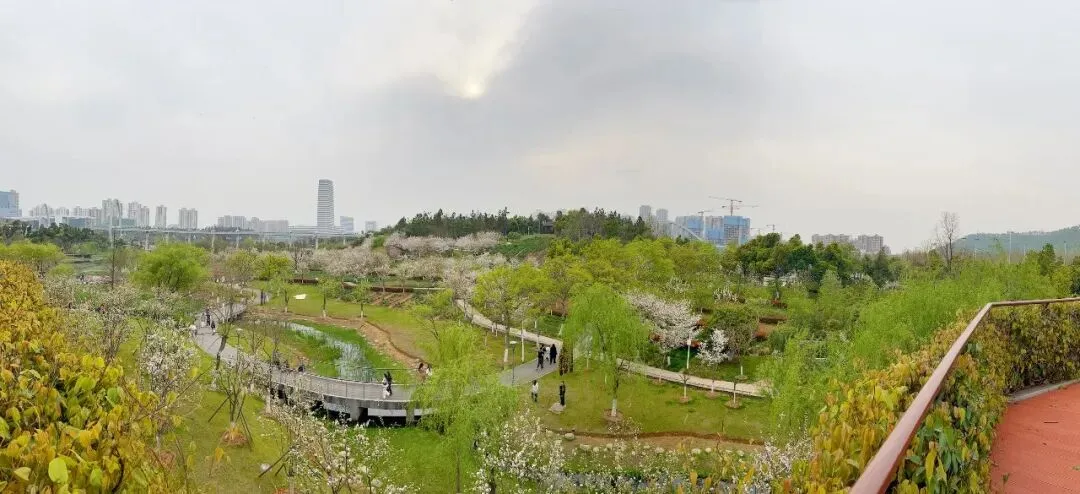 春晚歌曲《立春》,太美