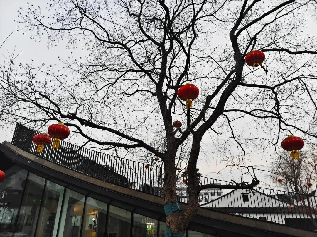 寒假如歌,成长为伴——寒假随笔展(八) | 窗花如旧,年味恒新