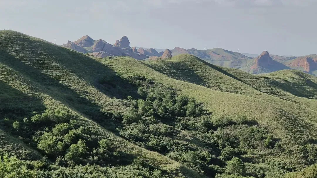 天星风水八条歌