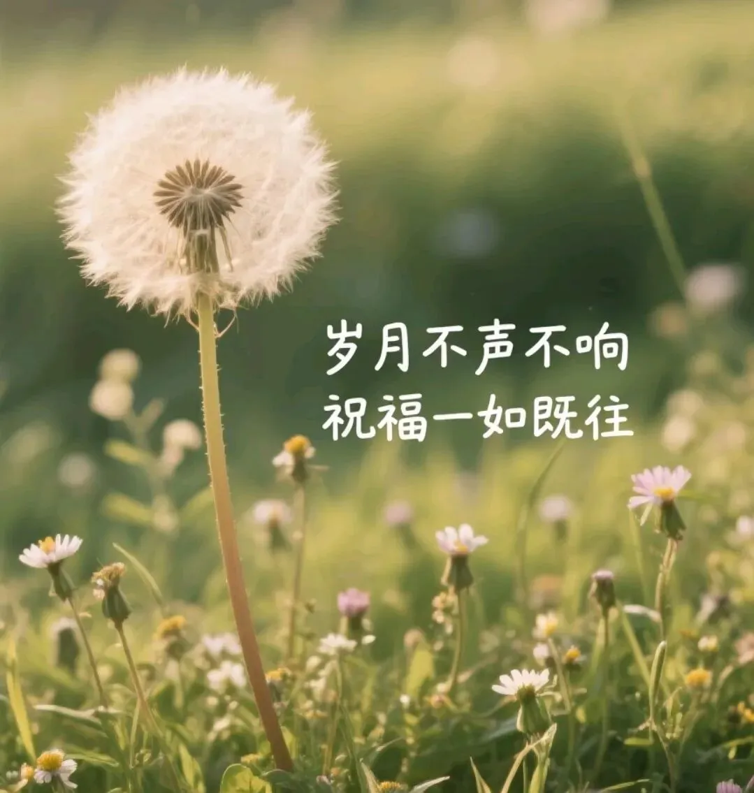 弘歌不辍‖河北保定:吕国庆