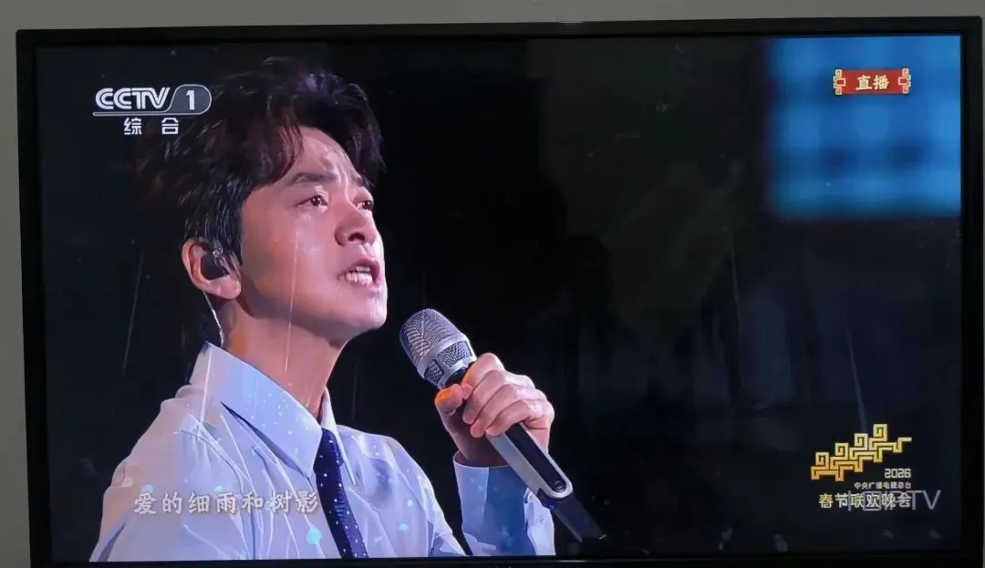 2026年春晚歌曲——李健《人间共鸣》