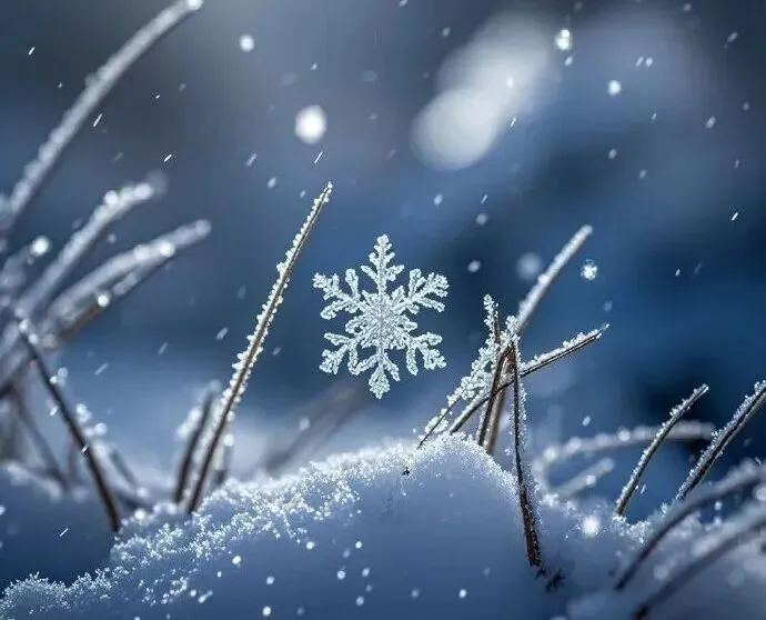 歌曲《我像雪花从天上来》