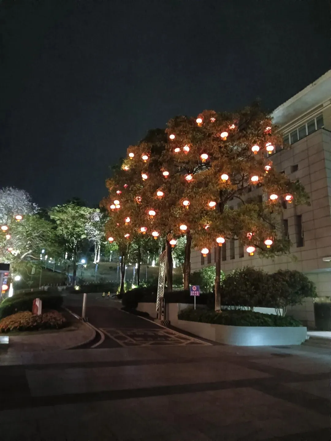 夜园漫步,歌伴晚风