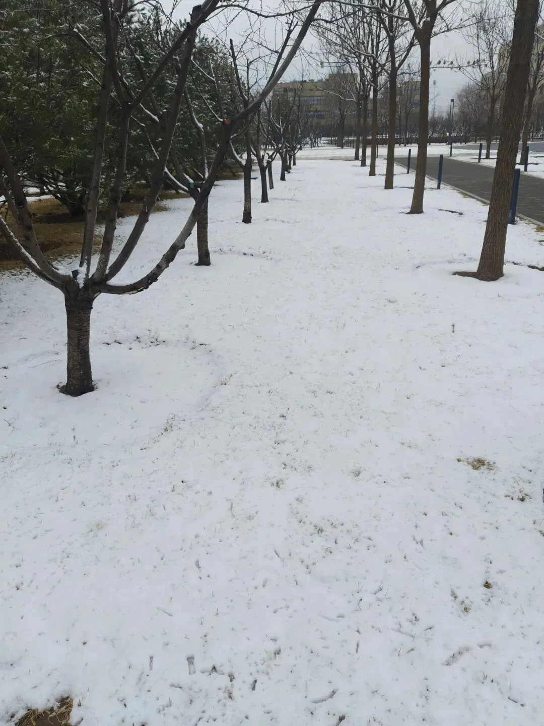 离家后才听到这首歌