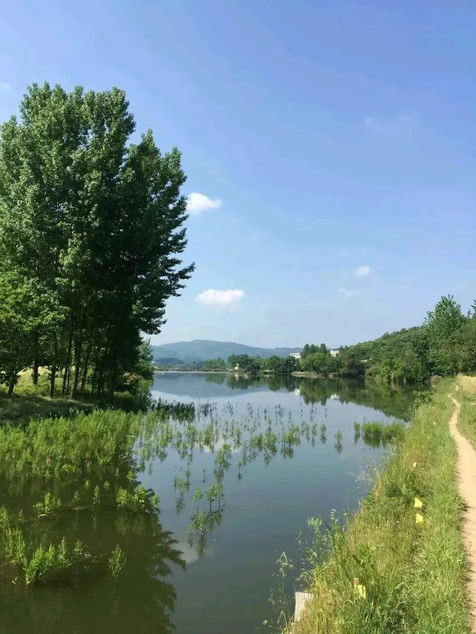 煤城文学|王续:就是这一首老歌