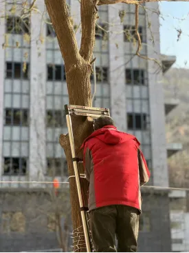 {“年味如诗 岁月如歌”春节主题征文27}魏 愉:新衣(外三首)