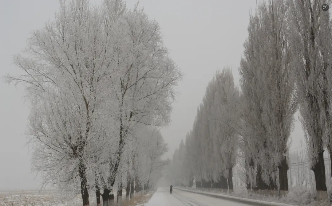 【黄河·冬之歌】李养龙:冰封的河 炽热的心