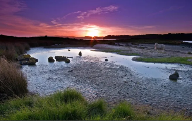 80后最受欢迎的30首老歌(23)张学友 吻别