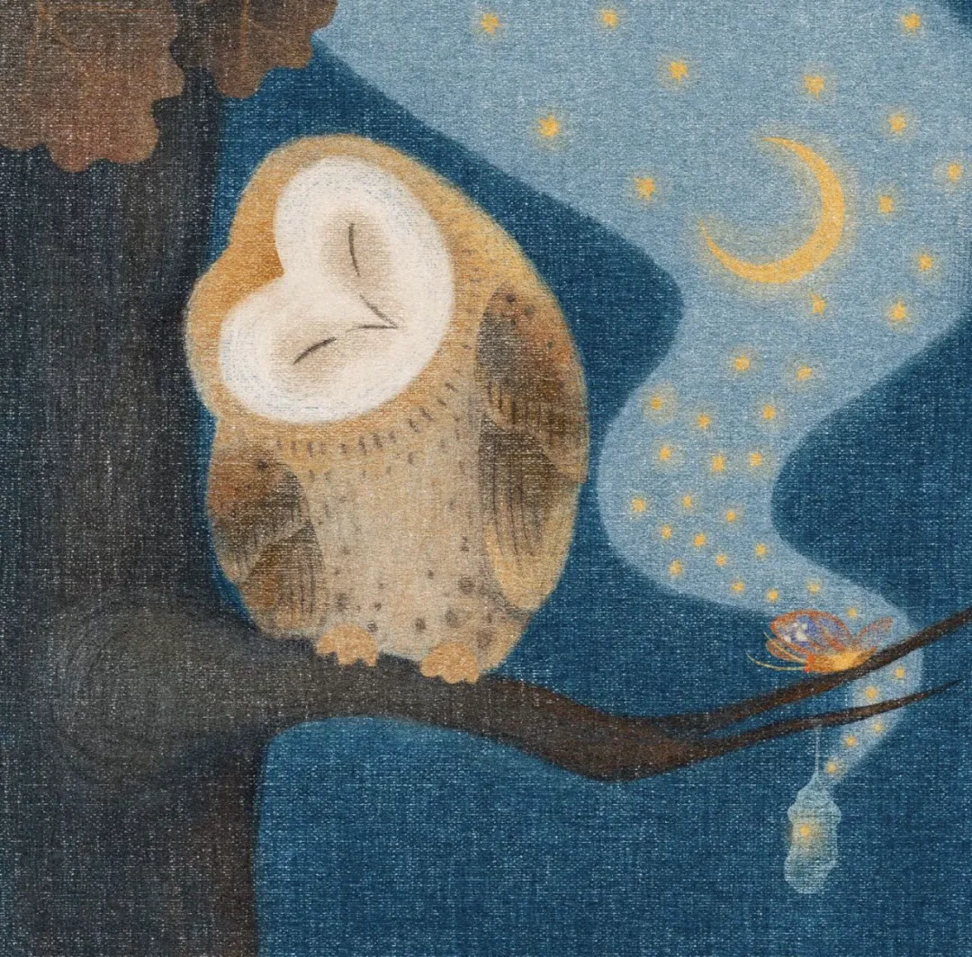 歌曲分享-猫头鹰先生