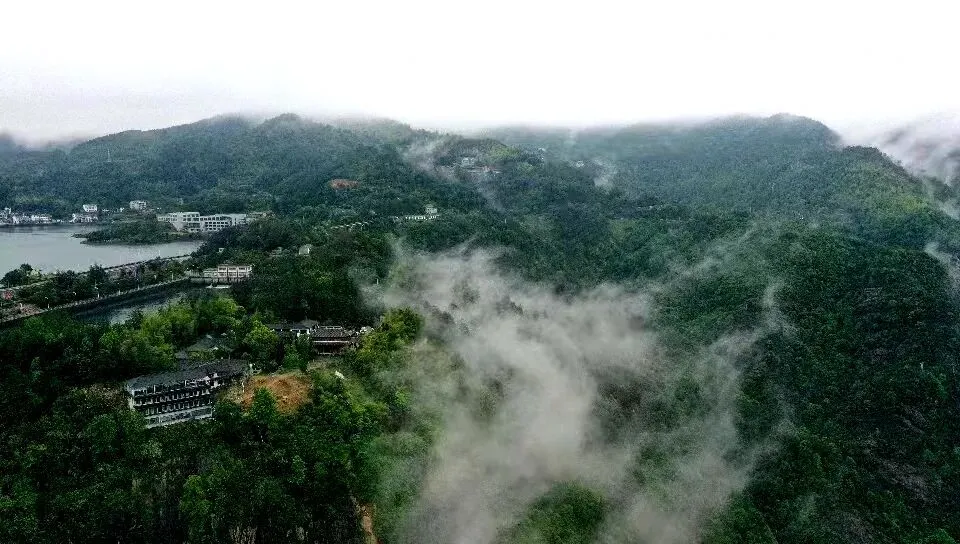 诗路天台┃《天台藤杖歌(乙卯)》 清•祁寯藻