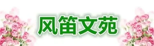 温丽作词歌曲《林口小雪鹅》