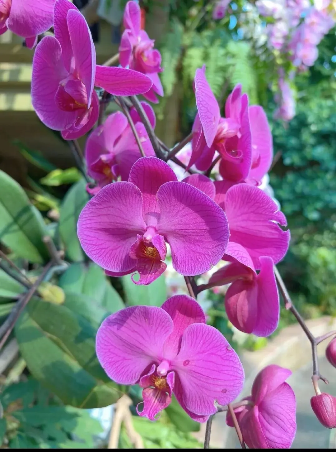 歌曲分享‖《故乡的风来了又走》