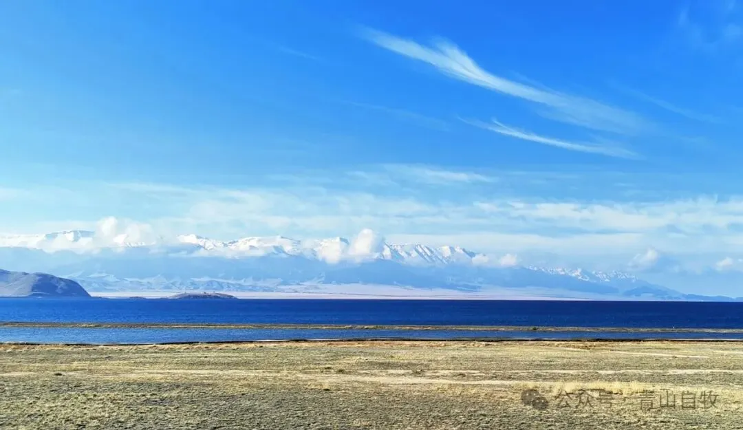 从一些流行歌曲,看年轻人精神状态之渐变