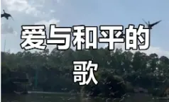 歌曲背后的故事——《Amani》爱与和平的歌
