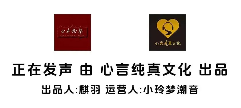 《鸭子》苏慧伦也搞不清楚到底谁是原版的歌曲-音乐百科全说