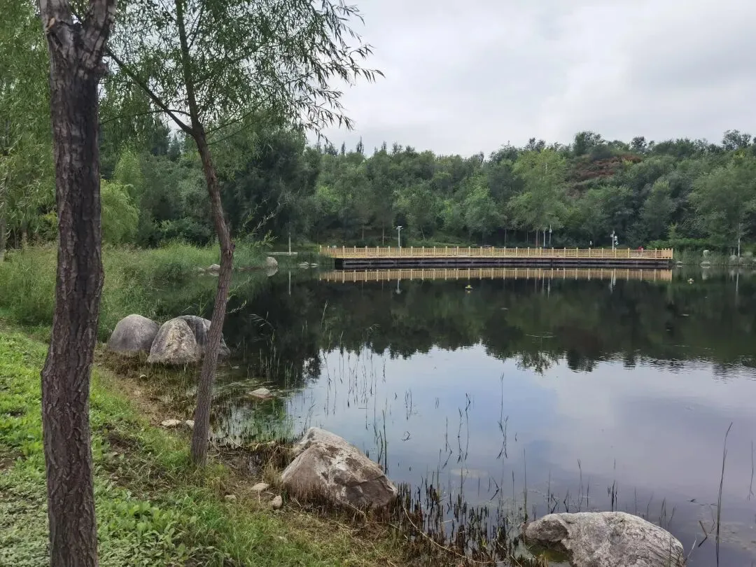 歌词诊所||哪些流行歌曲的歌词有硬伤?(2)