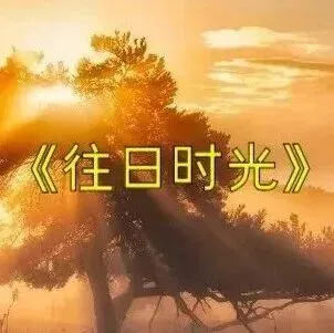 【音乐厅】经典歌曲《往日时光》,萨克斯演奏版,触碰心灵的一首歌,人生最美的珍藏,听哭了!!!