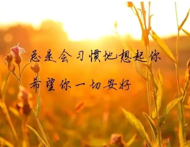 每周一首歌-《今生啊多相见》