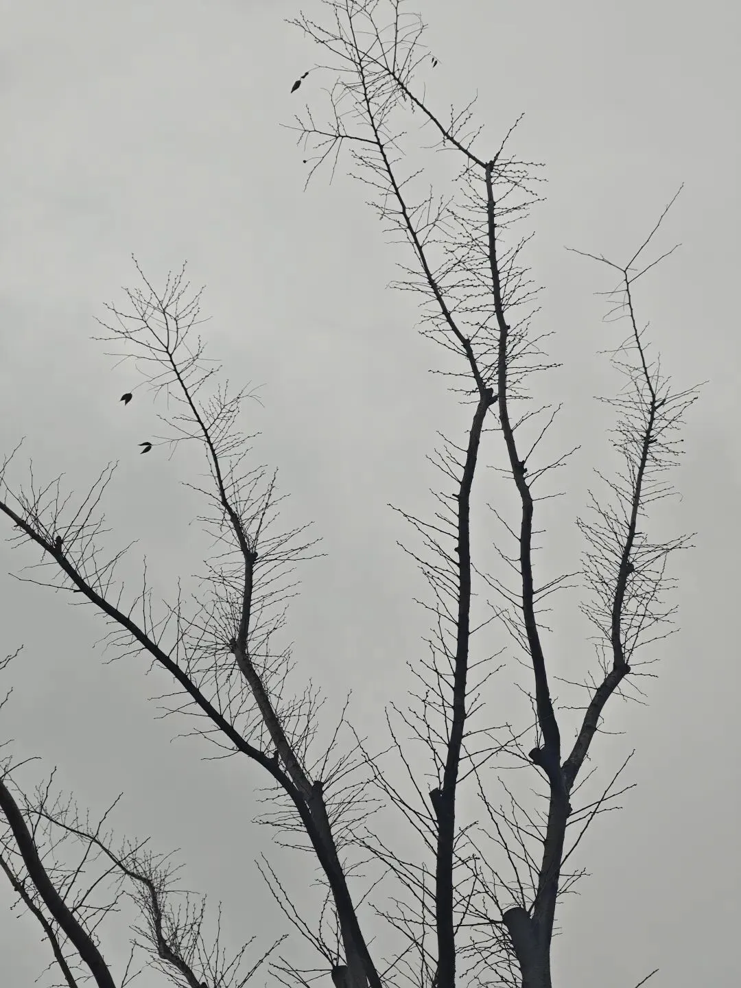 阴雨天,你的心事是不是藏在这些歌曲里?
