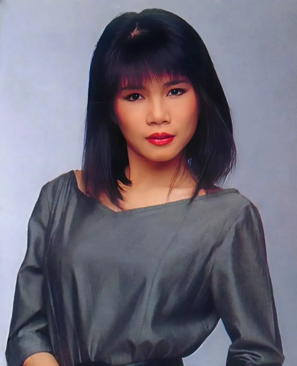 多少柔情多少泪(韩宝仪)「精选歌曲」