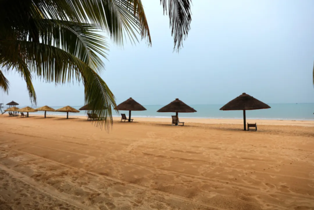 【国家级非遗】雷州歌——一首四句歌,唱了千年雷州