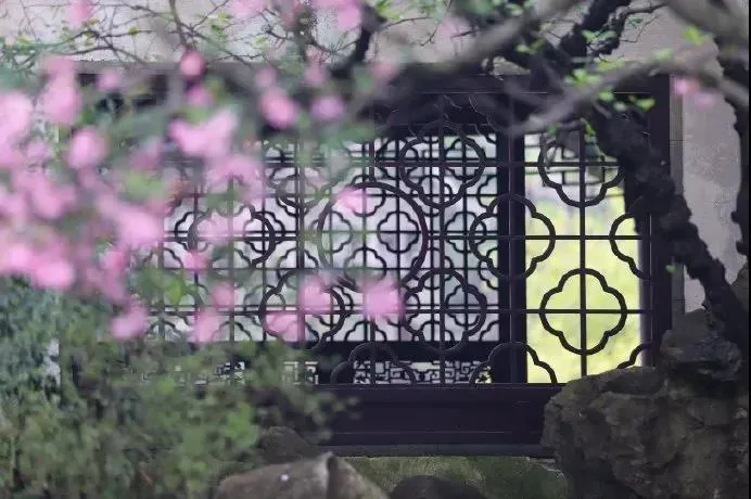 我有小院,四季如歌