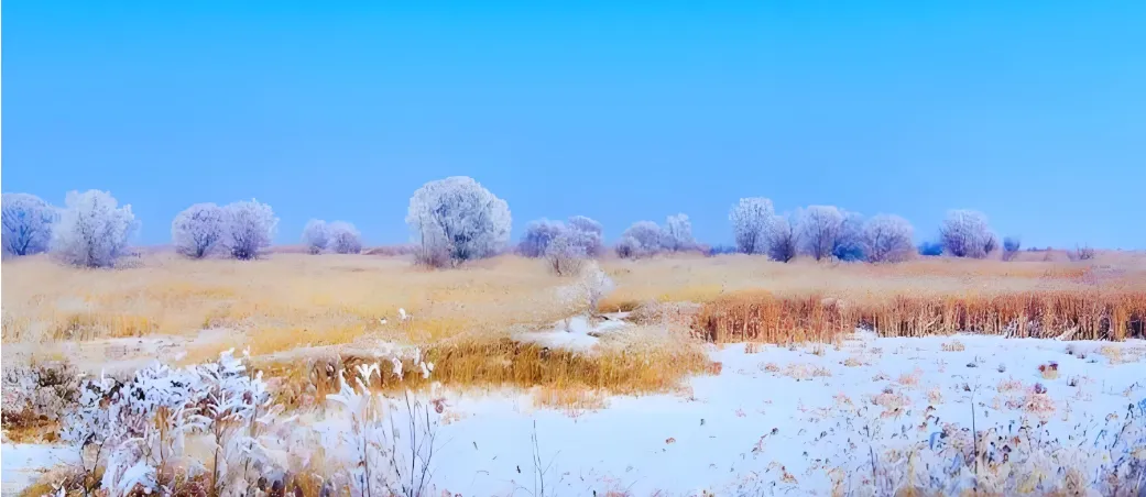 歌词诊所||哪些流行歌曲的歌词有硬伤?(4)