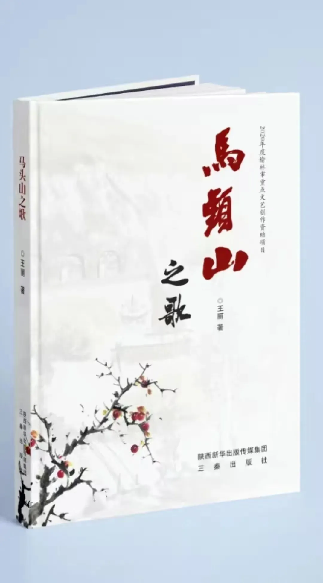 读后感《马头山之歌》:一曲乡土守望的深沉咏叹