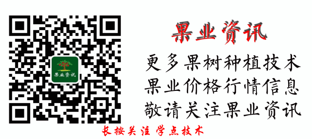 果树修剪歌,献给辛苦的果农朋友!总结全面,简单易懂~